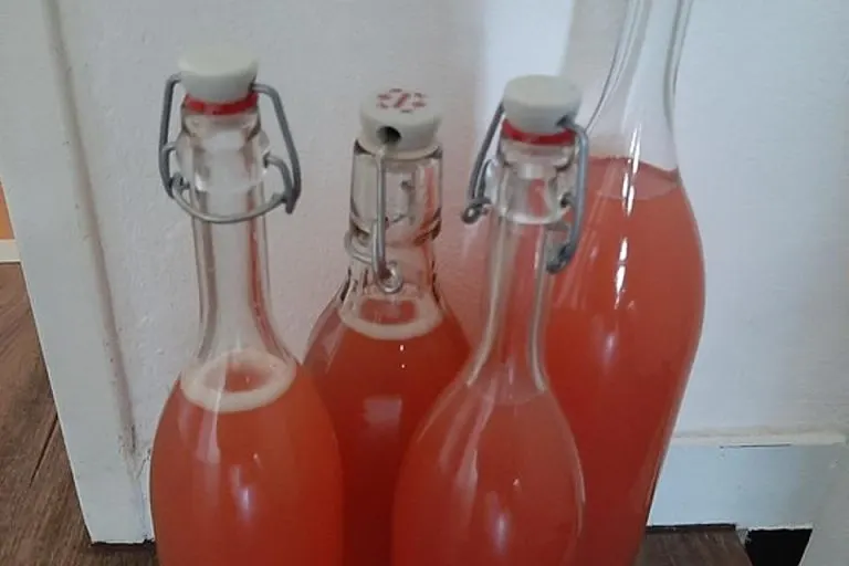 Rhabarbersirup