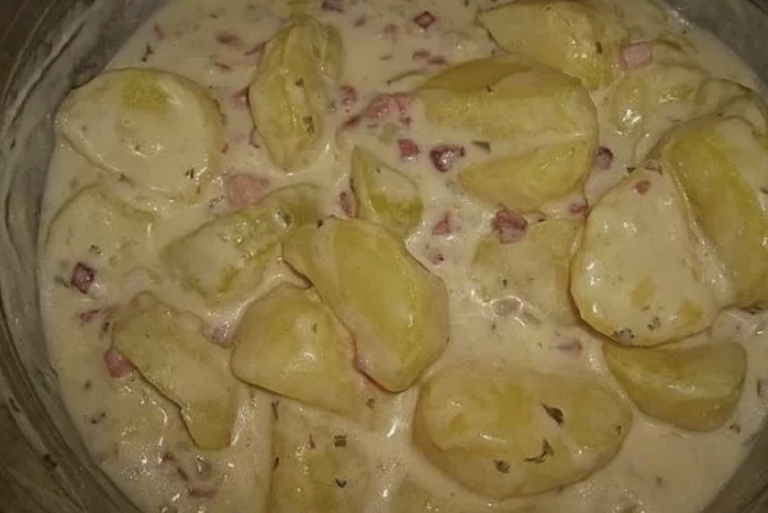 Bechamel Kartoffeln