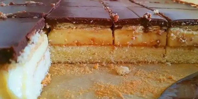 Omas Schoko Pudding