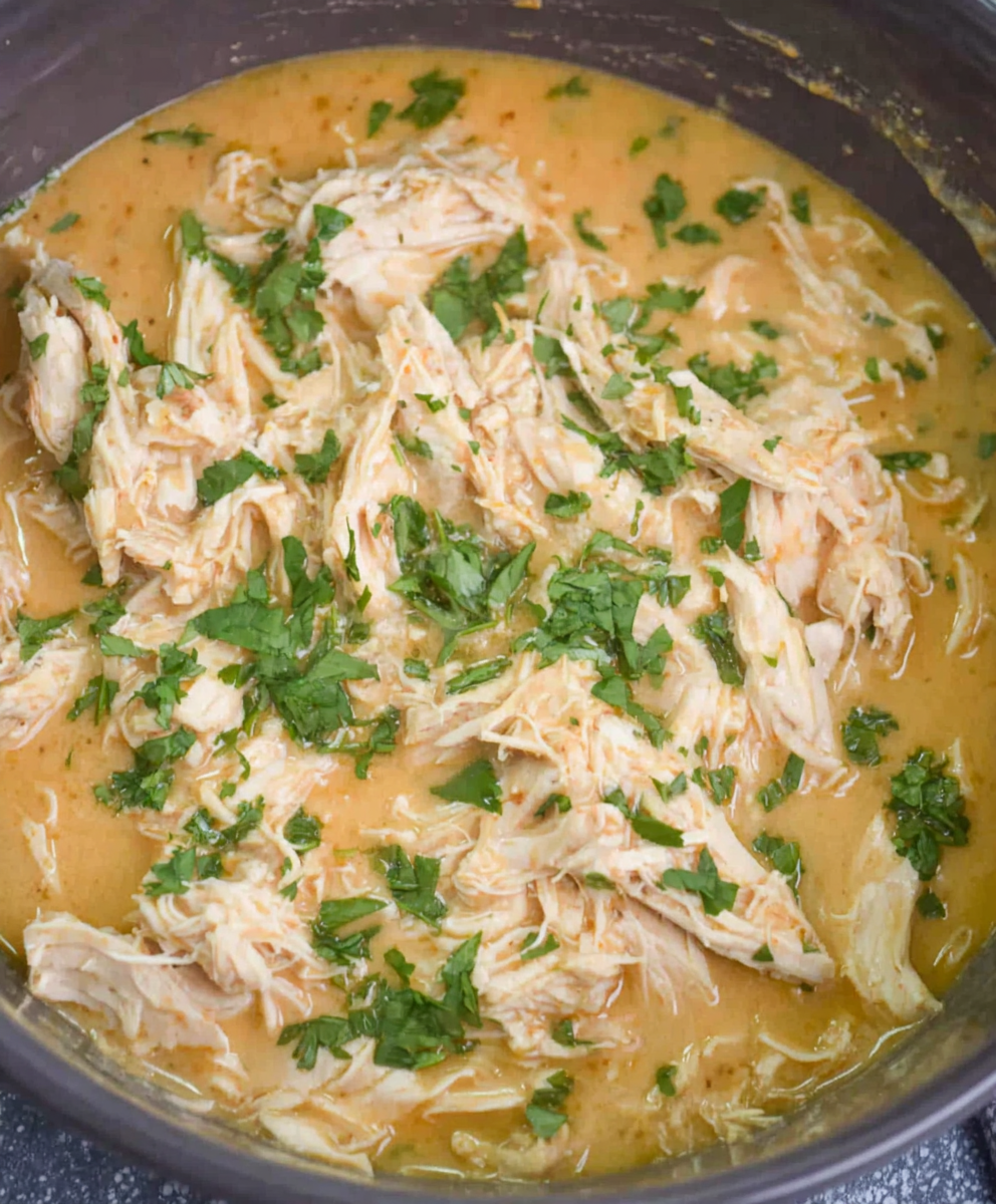 Slow Cooker Chicken in Savory Gravy
